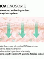 آمپول PDRN پپتید سرامید آبرسان و مرطوب کننده وی تی VT PDRN Cica Exosome 31 - تصویر 3