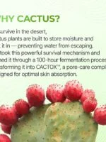 پک ماسک بینی 3 مرحله کاکتوس دکتر ملاکسین DR.MELAXIN CACTOX 3-Step Nose Mask Pack - تصویر 4