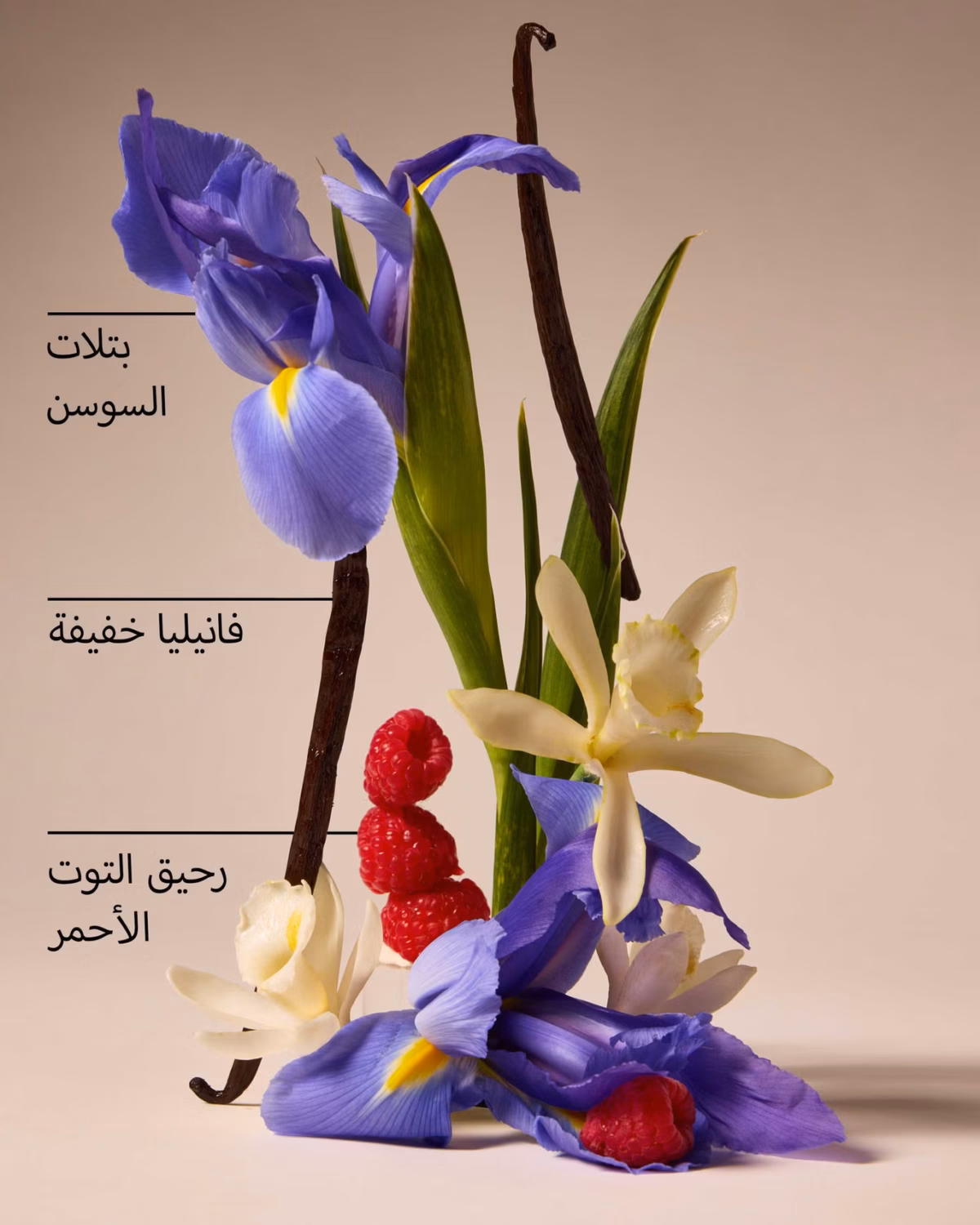 لوسیون بدن بس & بادی باتر فلای Butterfly Body Lotion - تصویر 2